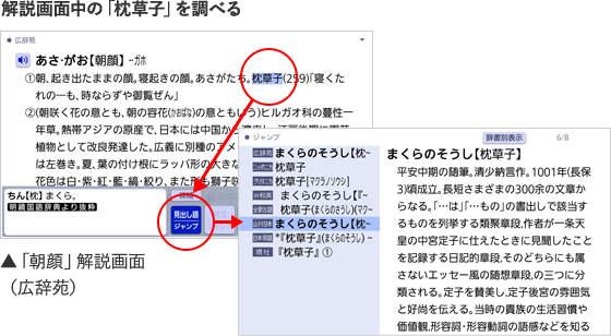 CASIO EX-word XD-SR3800BK Japanese English Electronic Dictionary 